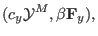 $\displaystyle (c_y \mathbf{\mathcal{Y}}^M, \beta \mathbf{F}_y),$